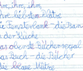 lrs-vorher